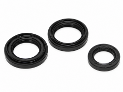 Synchrotech K Series Seal Kit